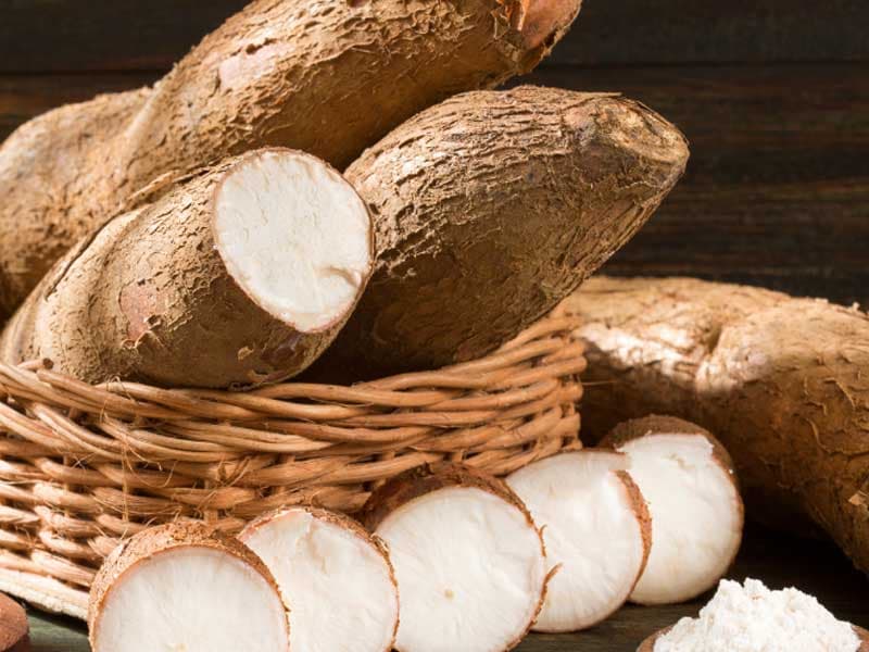 Khoai Mì / Cassava — Khoai Mì / Cassava
